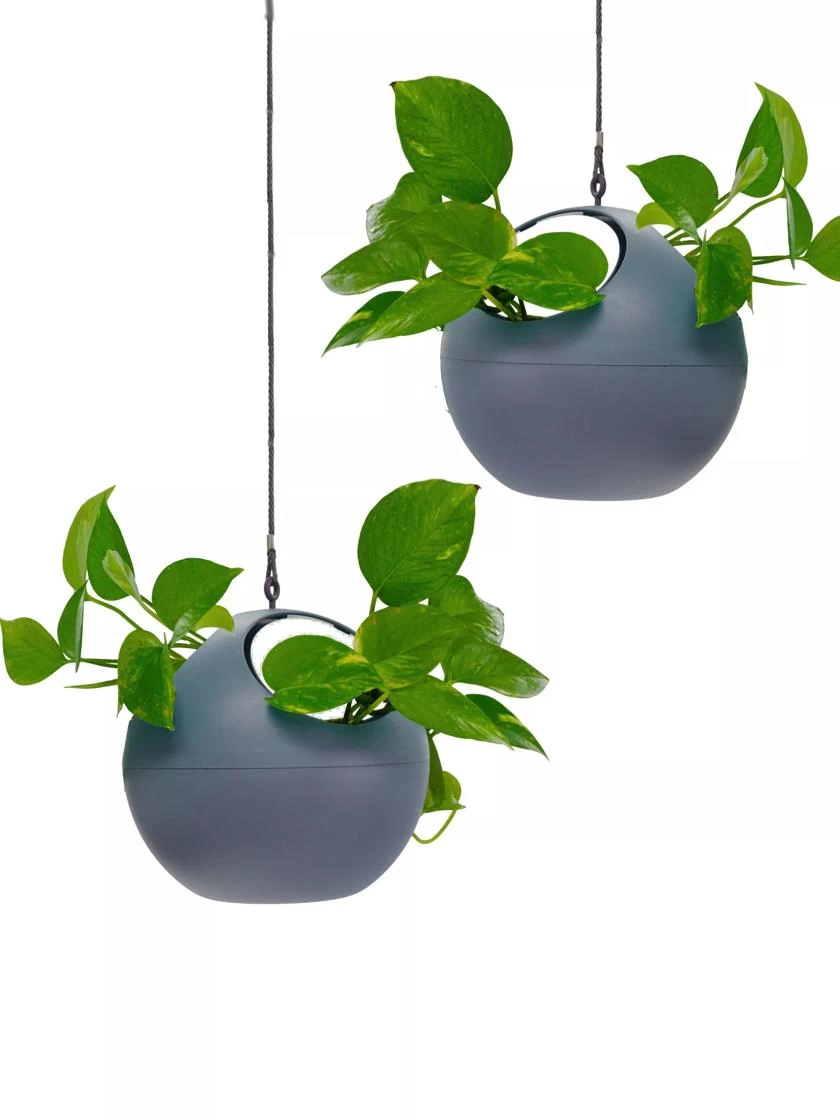 Exaco Euro Hanging Planters, Set Of 2 6 Exaco Euro Hanging Planters, Set Of 2 - Image 4