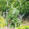 Gardener's Vertex Lifetime Pepper And Eggplant Cage 2 Gardener's Vertex Lifetime Pepper And Eggplant Cage -Garden Care Shop 8599554 3000 tif