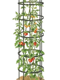 Titan Tall Tomato Cages, Set Of 3 -Garden Care Shop 8599860 0002 art tif