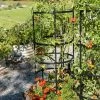 Titan Tomato Cages, Set Of 3 2 Titan Tomato Cages, Set Of 3 -Garden Care Shop 8599861 0049 tif