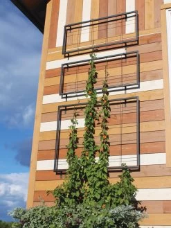 Exeter Wall Trellis 11 Exeter Wall Trellis -Garden Care Shop 8600049 7121 tif