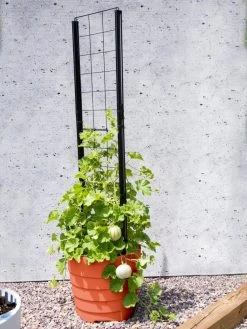 Gardener’s Victory Self-Watering Planter Garden With Vine Trellis -Garden Care Shop 8600178 05487 tif