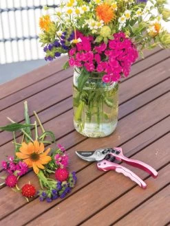 Gardener's Floral Pruning Bypass Shears