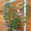 Ina Modern Wall Trellis Jr. -Garden Care Shop 8600512 07V tif
