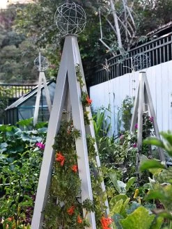 Akoris Garden Tuteur Jr. -Garden Care Shop 8600517 07V tif