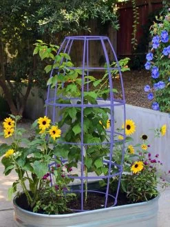 Toki Bubble Trellis -Garden Care Shop 8600520 02V tif