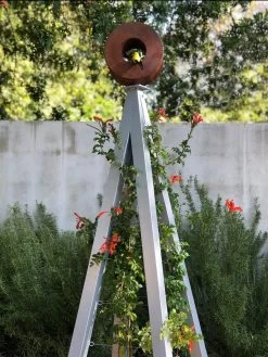 Bird Cafe + Akoris Garden Tuteur Sr. -Garden Care Shop 8600525 07v 1