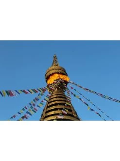 Tibetan Prayer Flags -Garden Care Shop 8600646 04v