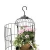 Hanging Birdcage Planter Set 1 Hanging Birdcage Planter Set -Garden Care Shop 8609181 0369 tif