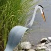 Florida Dancing BirdsĀ®, Great Blue Heron 1 Florida Dancing BirdsĀ®, Great Blue Heron -Garden Care Shop 8609451 02V jpg