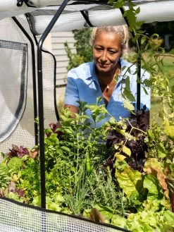 VegTrug®Patio Garden Greenhouse Cover Kit 13 VegTrug®Patio Garden Greenhouse Cover Kit -Garden Care Shop 8610172 1256