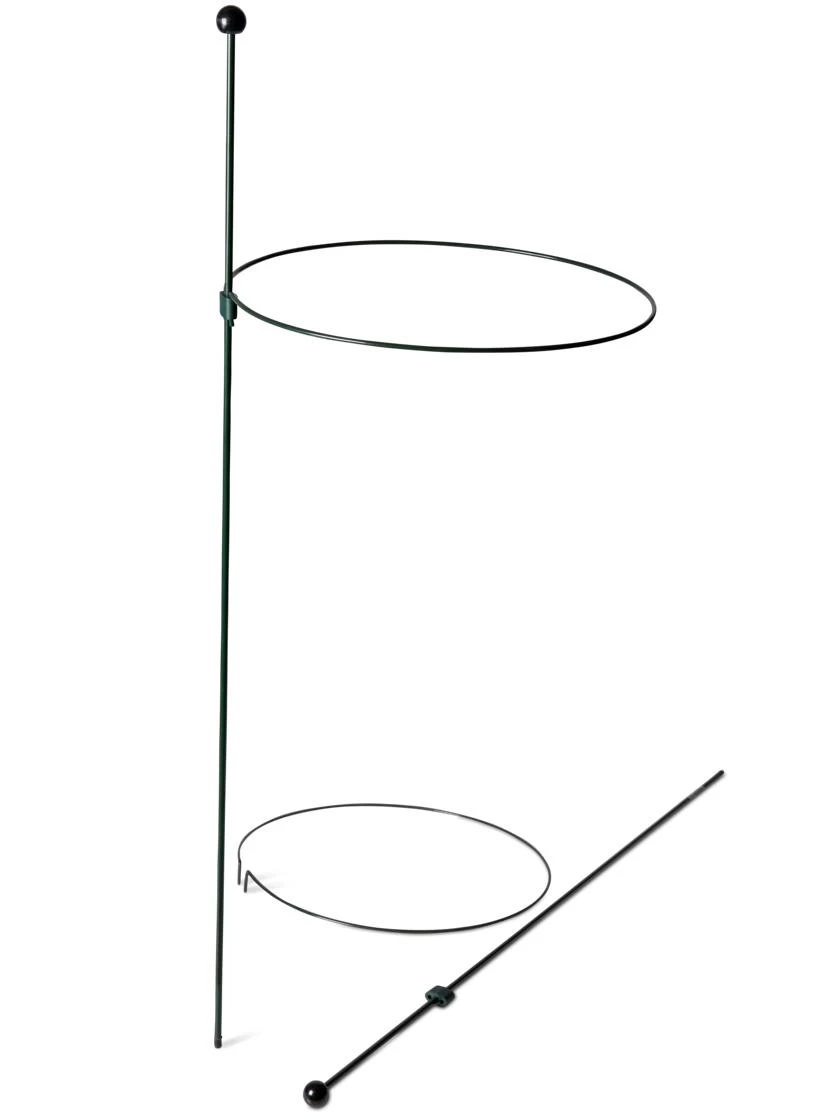 Peacock Classic Plant Support Rings 15", Set Of 2 6 Peacock Classic Plant Support Rings 15", Set Of 2 - Image 4