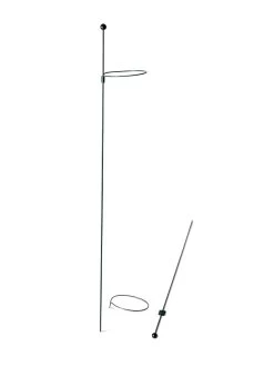 Peacock Mini Plant Support Rings 4", Set Of 2 14 Peacock Mini Plant Support Rings 4", Set Of 2 -Garden Care Shop 8610386 9566