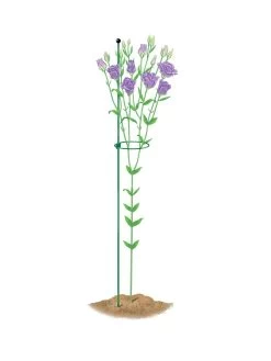 Peacock Mini Plant Support Rings 4", Set Of 2 12 Peacock Mini Plant Support Rings 4", Set Of 2 -Garden Care Shop 8610386 peacock4x36