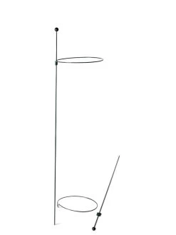 Peacock Mini Plant Support Rings 8", Set Of 2 15 Peacock Mini Plant Support Rings 8", Set Of 2 -Garden Care Shop 8610388 9565 tif