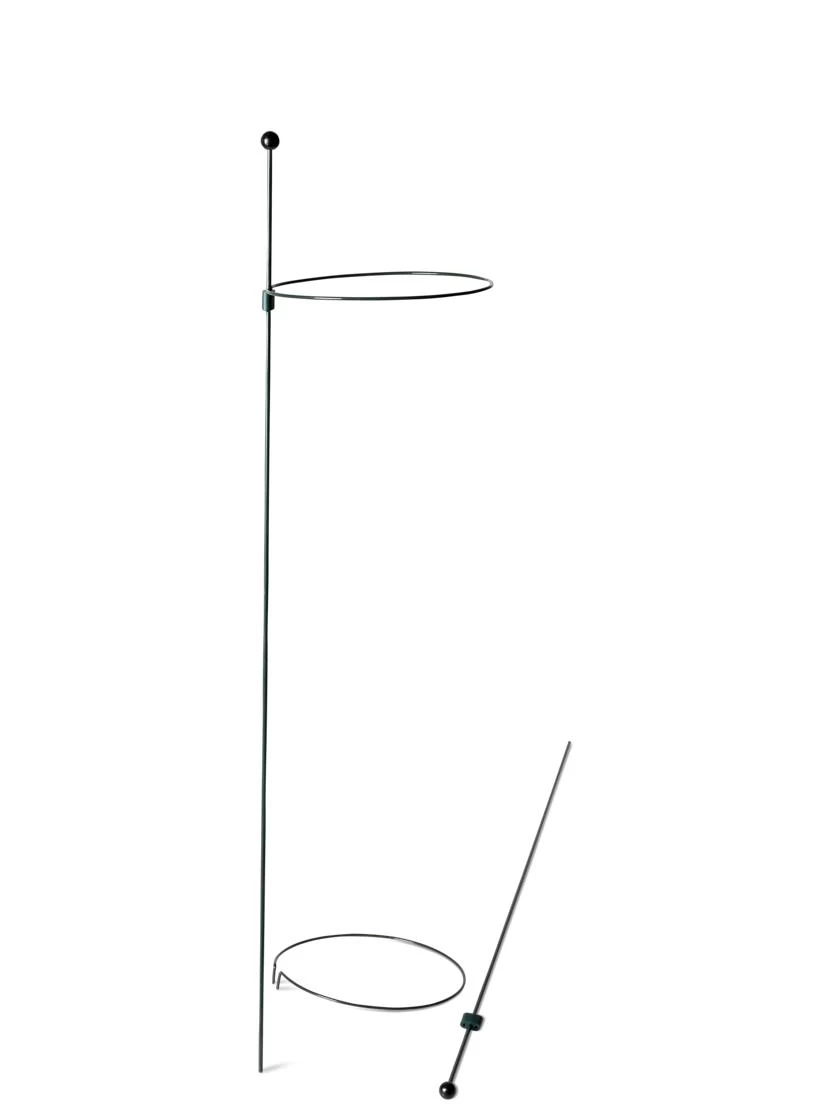 Peacock Mini Plant Support Rings 8", Set Of 2 9 Peacock Mini Plant Support Rings 8", Set Of 2 - Image 7