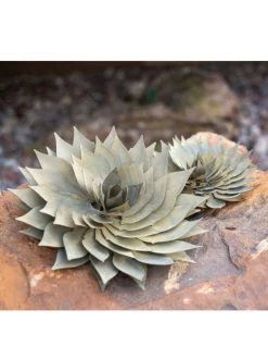 Desert Steel Spiral Aloe Sculpture -Garden Care Shop 8610749 03v