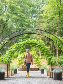 2’ X 8’ Arch Trellis For Planter Boxes 14 2’ X 8’ Arch Trellis For Planter Boxes -Garden Care Shop 8610798 071 tif