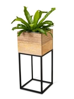 Tartu Elevated Square Planters -Garden Care Shop 8611005 036
