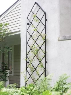 Garden Care Shop 10 Lattice Gable Wall Trellis