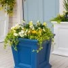 Fairfield Self-Watering Square Planter, 16” X 16” -Garden Care Shop 8611695 045 tif