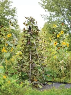 DIY Connector For Teepee Trellis 17 DIY Connector For Teepee Trellis -Garden Care Shop 8611896 062 tif