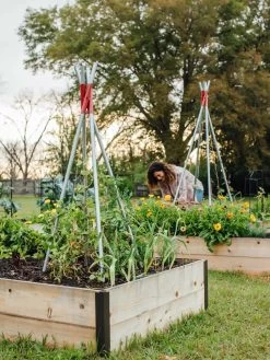 DIY Connector For Teepee Trellis 21 DIY Connector For Teepee Trellis -Garden Care Shop 8611896 38 tif