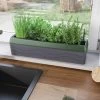 Provence Self-Watering Herb Planter -Garden Care Shop 8611965 01V tif