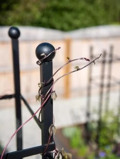 Essex Square Obelisk 12 Essex Square Obelisk -Garden Care Shop 8611984 278 tif