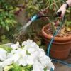 Indoor Outdoor Plant Sprayers 2 Indoor Outdoor Plant Sprayers -Garden Care Shop 8611993 029 tif