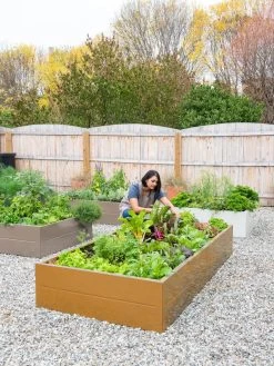 Somerset Metal Raised Beds, As Is -Garden Care Shop 8612020 0014 tif