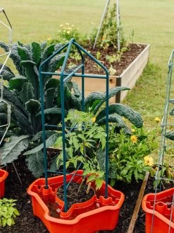 Deluxe Tomato Halos, Set Of 2 15 Deluxe Tomato Halos, Set Of 2 -Garden Care Shop 8612045 221 tif