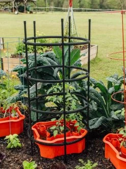 Deluxe Tomato Halos, Set Of 2 16 Deluxe Tomato Halos, Set Of 2 -Garden Care Shop 8612045 228 tif