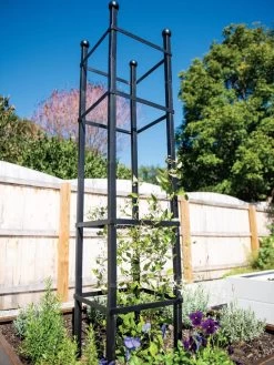 Garden Care Shop 12 Essex Square Obelisk