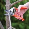 Castellari Mini Anvil Pruner 1 Castellari Mini Anvil Pruner -Garden Care Shop 8612199 002 castellari mini anvil pruner