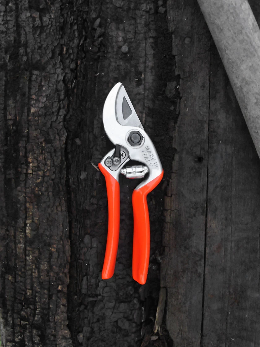 Castellari Mini Anvil Pruner 4 Castellari Mini Anvil Pruner - Image 2