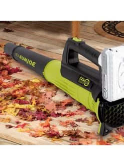 Sun Joe® 24V ION+ 2.0-Ah Cordless Compact Turbine Jet Blower, 100-MPH 350-CFM -Garden Care Shop 8612516 11v