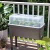 Self-Watering Standing Salad Planter With Cloche -Garden Care Shop 8612702 2032 tif