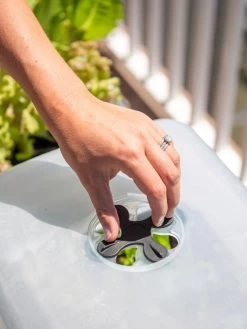 Self-Watering Standing Salad Planter With Cloche 11 Self-Watering Standing Salad Planter With Cloche -Garden Care Shop 8612702 2034 tif