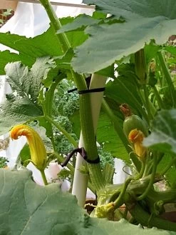 Farmyarn® Multipurpose Garden Tie, 2 Pack -Garden Care Shop 8612948 01v