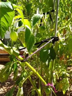 Farmyarn® Multipurpose Garden Tie, 2 Pack -Garden Care Shop 8612948 02v