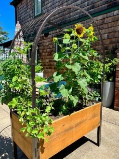 Elevated Planter Box, 2' X 4' -Garden Care Shop 8612976 11TEST tif