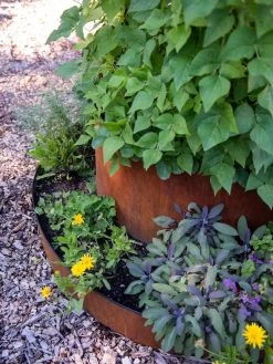 Birdies™ Corten Steel Tiered Round Raised Bed Kit, Tall -Garden Care Shop 8613245 0195