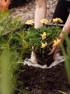 Hortiwool ®, Starter Garden Pad -Garden Care Shop 8613263 12v 1