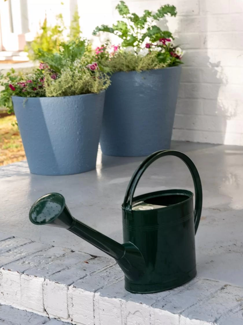 Long Reach Watering Can, Large 3 Long Reach Watering Can, Large - Image 2