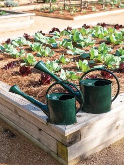 Long Reach Watering Can, Large 11 Long Reach Watering Can, Large -Garden Care Shop 8613346 0148 1