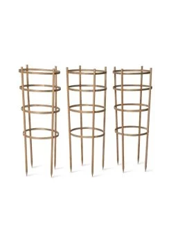 Bamboo Tomato Cages, Set Of 3 17 Bamboo Tomato Cages, Set Of 3 -Garden Care Shop 8613426 4679 bamboo tomato cages 3