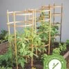 Bamboo Tomato Cages, Set Of 3 -Garden Care Shop 8613426 7