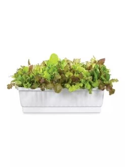 31" Self-Watering Window Box 7 31" Self-Watering Window Box -Garden Care Shop GS36523 01Z 3 4