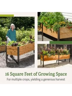 Self-Watering Elevated Planter Box, 2' X 8' -Garden Care Shop b00eow8fhu raisedbed feature 2